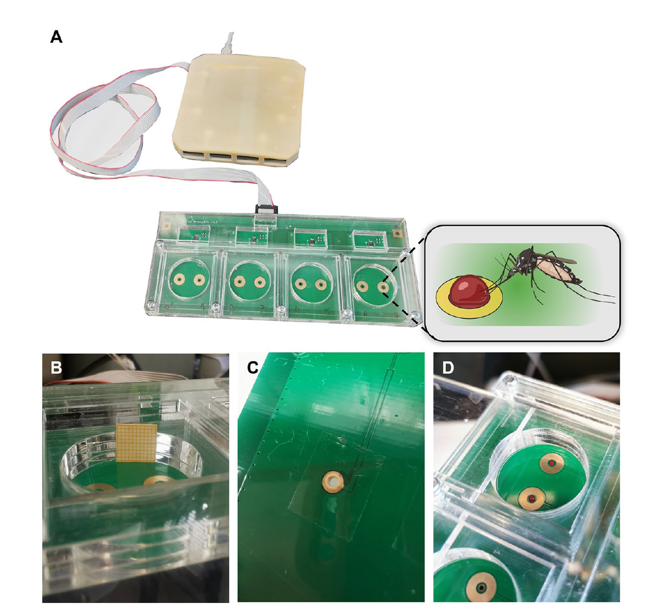 flyPAD Custom — Multi-Species Adaptations