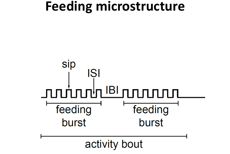 Feeding Microstructure