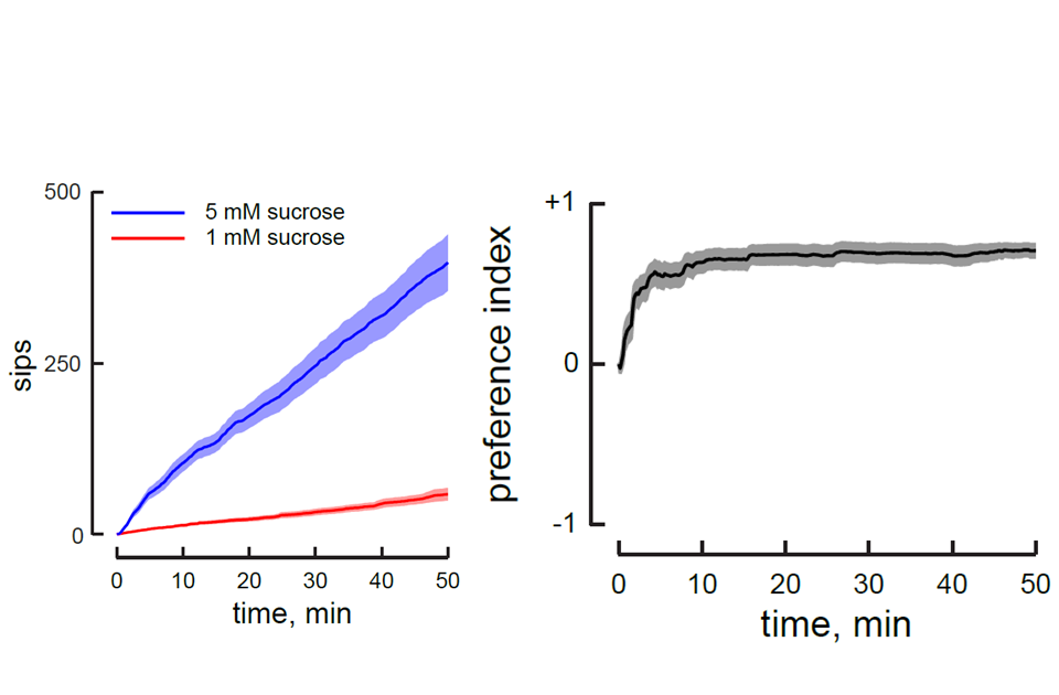 Food Preference Assays