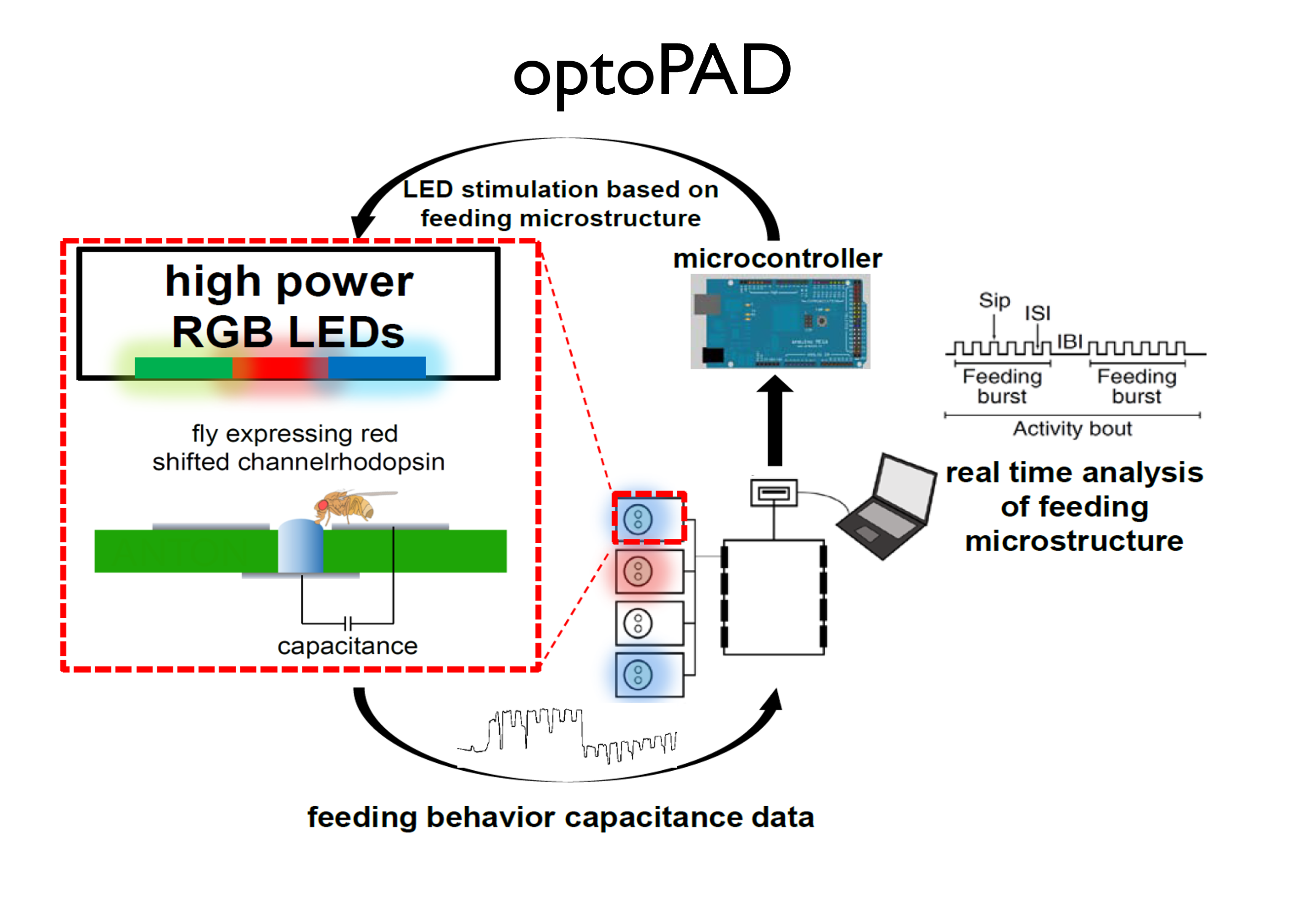 optoPAD — Closed-Loop Optogenetics