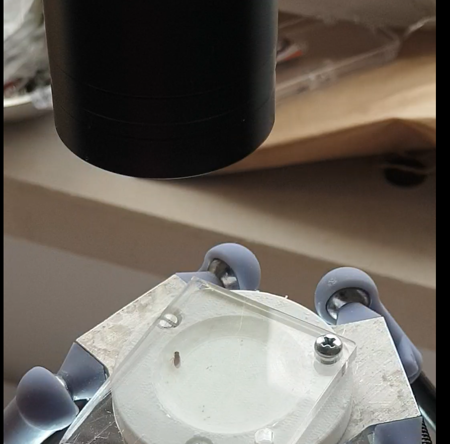 Video Tracking — Bonsai-Based Solutions